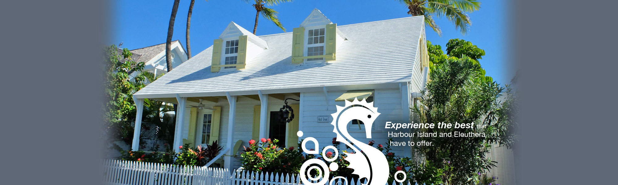 home-banners11